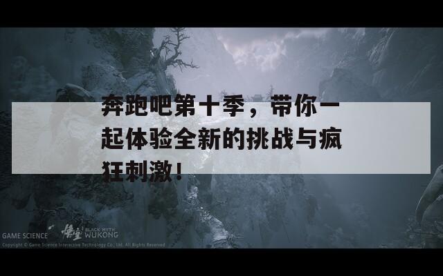 奔跑吧第十季，带你一起体验全新的挑战与疯狂刺激！