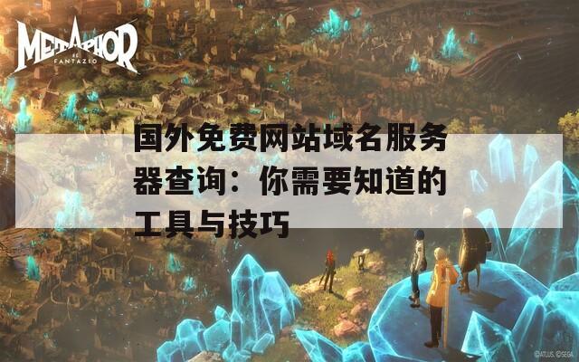 国外免费网站域名服务器查询：你需要知道的工具与技巧