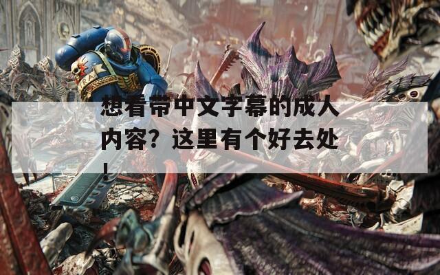 想看带中文字幕的成人内容？这里有个好去处！