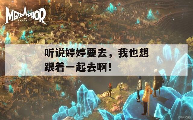 听说婷婷要去，我也想跟着一起去啊！