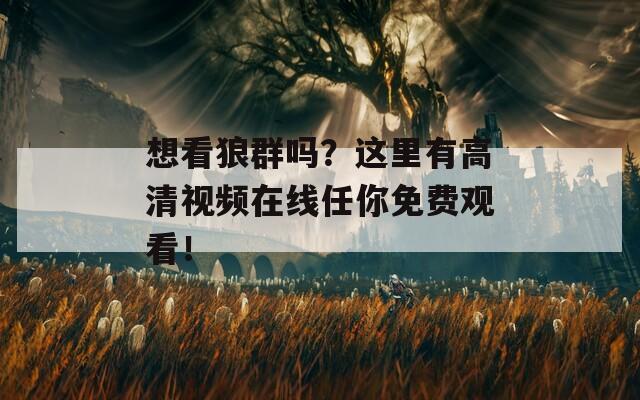 想看狼群吗？这里有高清视频在线任你免费观看！