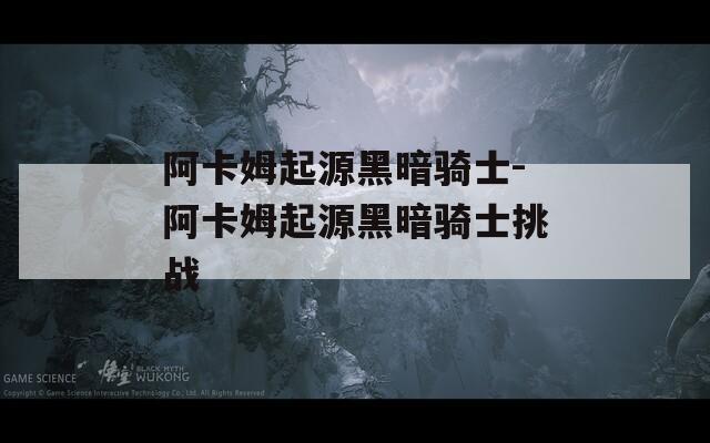 阿卡姆起源黑暗骑士-阿卡姆起源黑暗骑士挑战