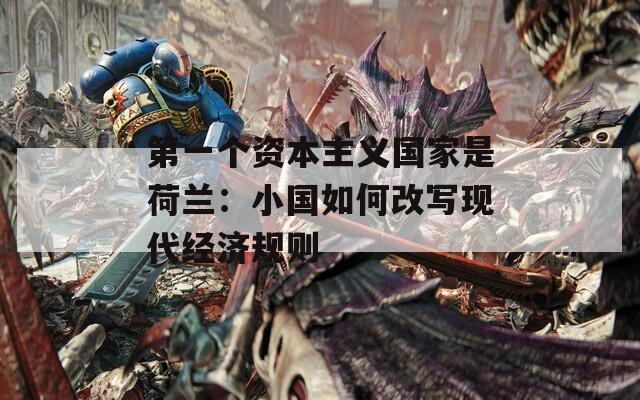 第一个资本主义国家是荷兰：小国如何改写现代经济规则