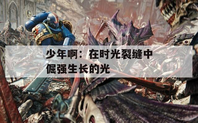 少年啊：在时光裂缝中倔强生长的光