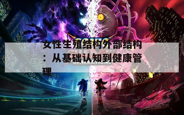 女性生殖结构外部结构：从基础认知到健康管理