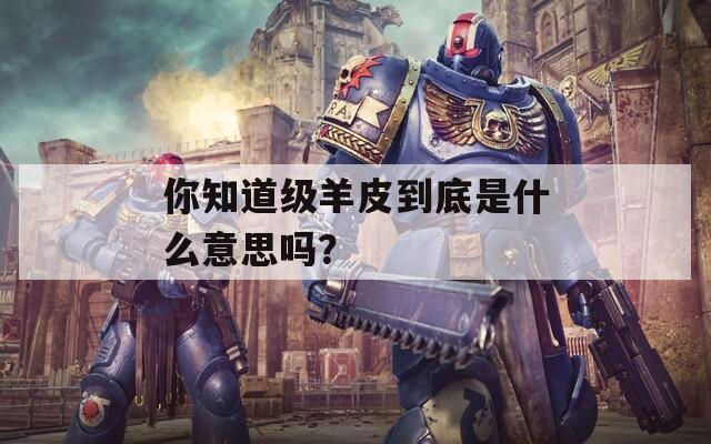 你知道级羊皮到底是什么意思吗？