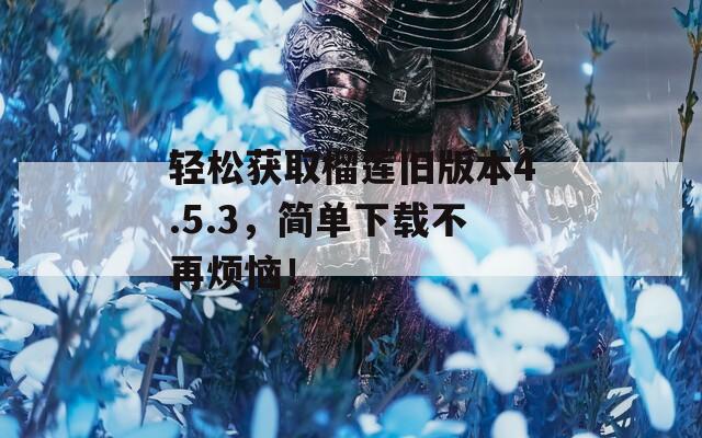 轻松获取榴莲旧版本4.5.3，简单下载不再烦恼！