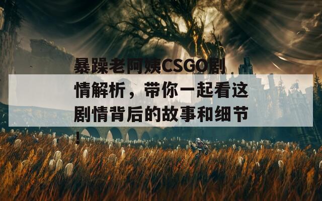 暴躁老阿姨CSGO剧情解析，带你一起看这剧情背后的故事和细节！