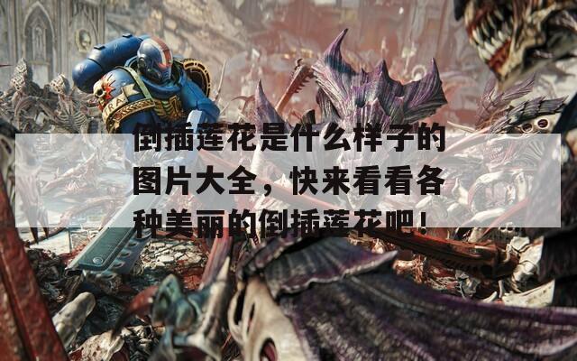倒插莲花是什么样子的图片大全，快来看看各种美丽的倒插莲花吧！