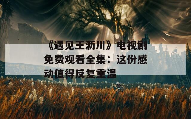 《遇见王沥川》电视剧免费观看全集：这份感动值得反复重温