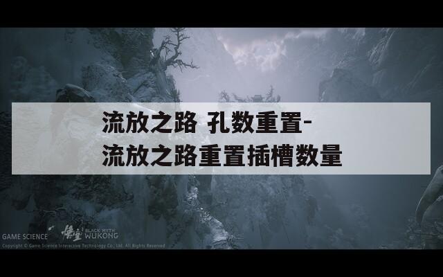 流放之路 孔数重置-流放之路重置插槽数量