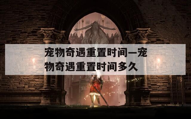 宠物奇遇重置时间—宠物奇遇重置时间多久