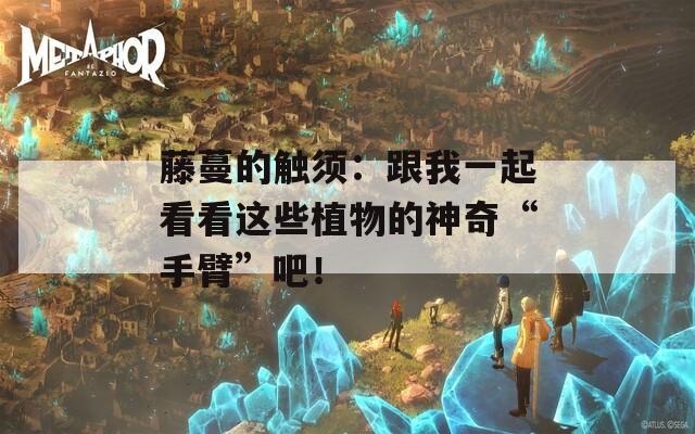 藤蔓的触须：跟我一起看看这些植物的神奇“手臂”吧！