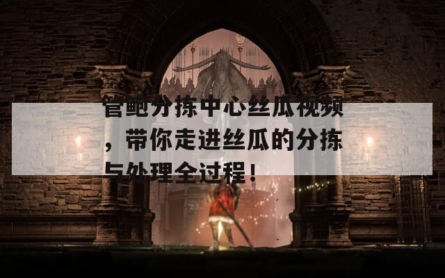 管鲍分拣中心丝瓜视频，带你走进丝瓜的分拣与处理全过程！
