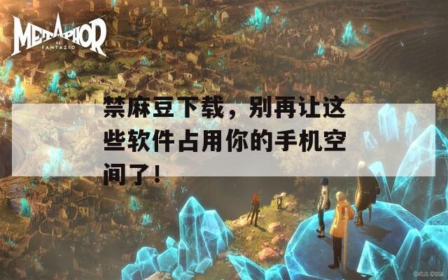 禁麻豆下载，别再让这些软件占用你的手机空间了！