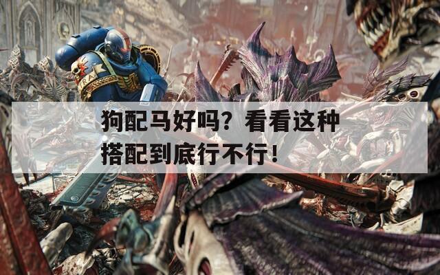 狗配马好吗？看看这种搭配到底行不行！