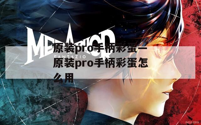 原装pro手柄彩蛋—原装pro手柄彩蛋怎么用