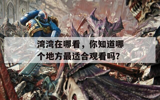 湾湾在哪看，你知道哪个地方最适合观看吗？