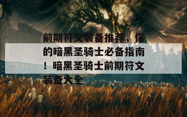 前期符文装备推荐，你的暗黑圣骑士必备指南！暗黑圣骑士前期符文装备大全
