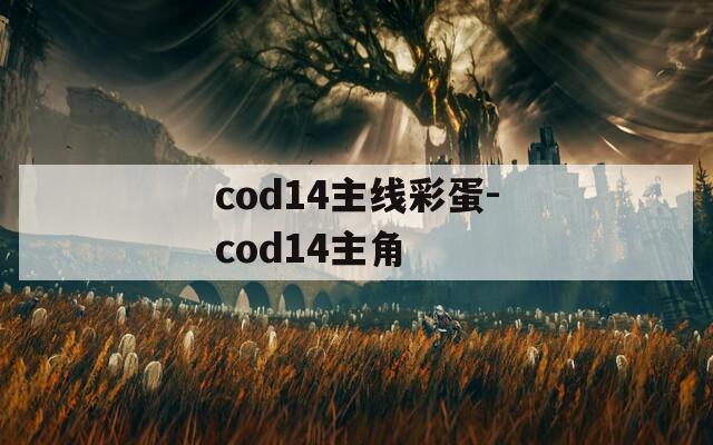 cod14主线彩蛋-cod14主角