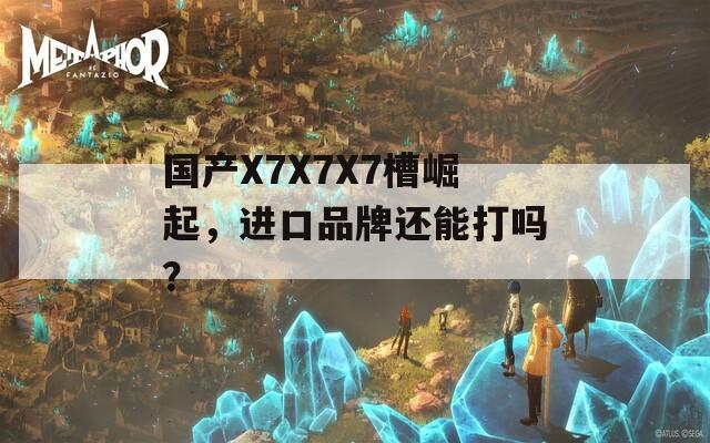国产X7X7X7槽崛起，进口品牌还能打吗？