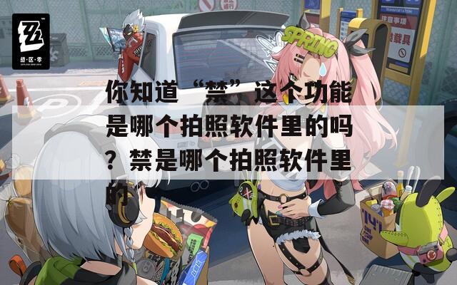 你知道“禁”这个功能是哪个拍照软件里的吗？禁是哪个拍照软件里的