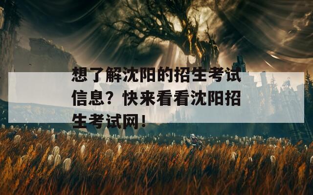 想了解沈阳的招生考试信息？快来看看沈阳招生考试网！