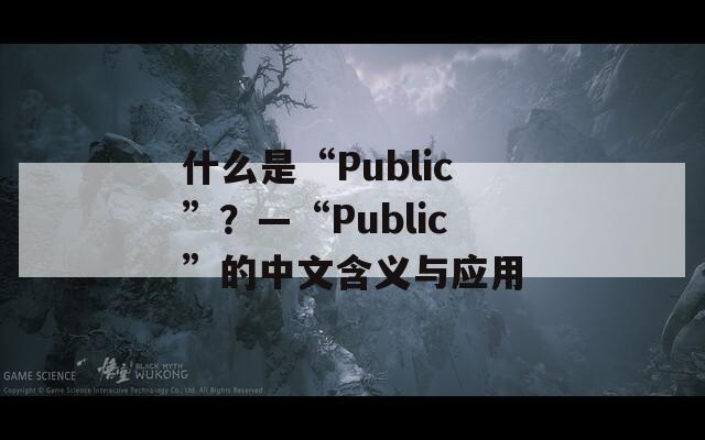 什么是“Public”？—“Public”的中文含义与应用