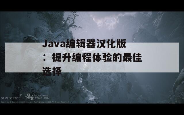 Java编辑器汉化版：提升编程体验的最佳选择