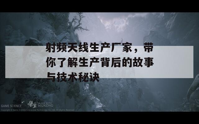 射频天线生产厂家，带你了解生产背后的故事与技术秘诀