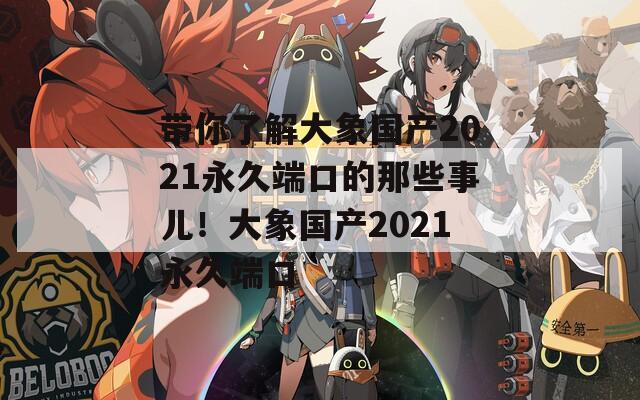 带你了解大象国产2021永久端口的那些事儿！大象国产2021永久端口