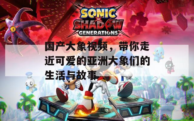 国产大象视频，带你走近可爱的亚洲大象们的生活与故事