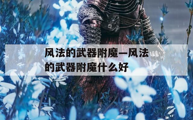 风法的武器附魔—风法的武器附魔什么好