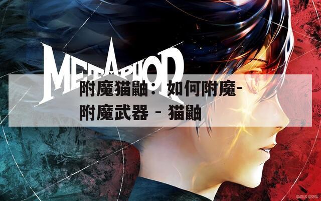 附魔猫鼬：如何附魔-附魔武器 - 猫鼬