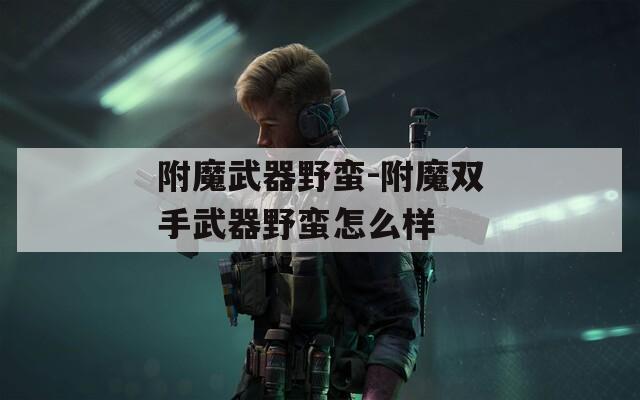 附魔武器野蛮-附魔双手武器野蛮怎么样