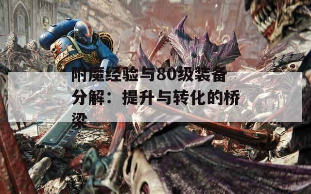 附魔经验与80级装备分解：提升与转化的桥梁