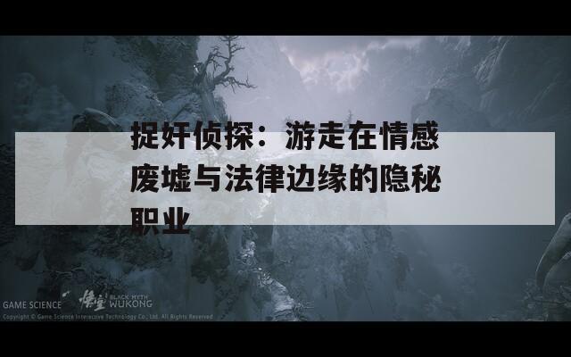 捉奸侦探：游走在情感废墟与法律边缘的隐秘职业