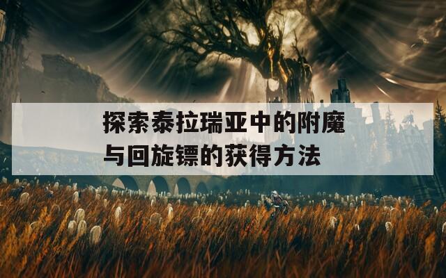 探索泰拉瑞亚中的附魔与回旋镖的获得方法