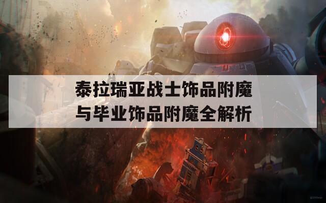 泰拉瑞亚战士饰品附魔与毕业饰品附魔全解析