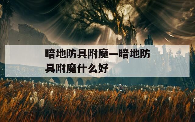 暗地防具附魔—暗地防具附魔什么好
