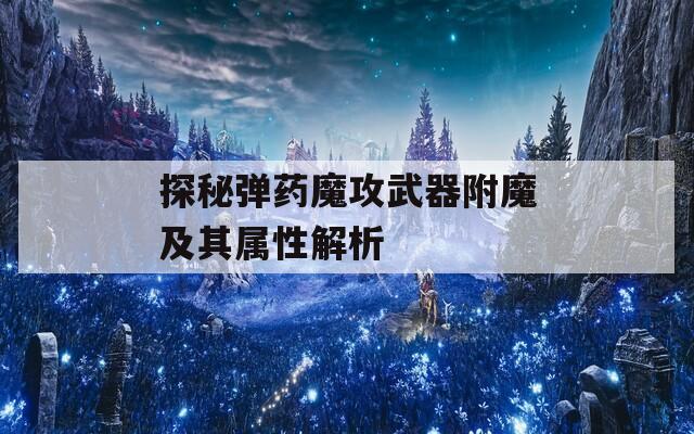 探秘弹药魔攻武器附魔及其属性解析