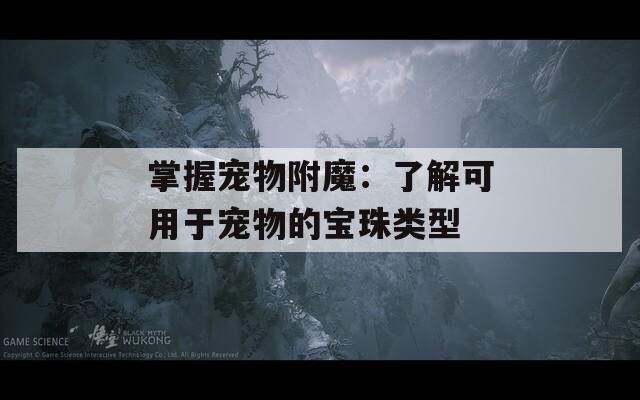 掌握宠物附魔：了解可用于宠物的宝珠类型