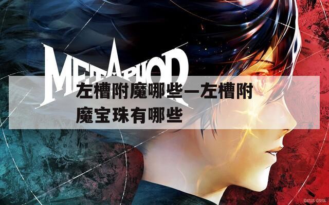 左槽附魔哪些—左槽附魔宝珠有哪些