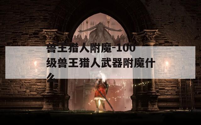 兽王猎人附魔-100级兽王猎人武器附魔什么