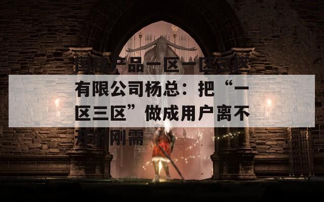 国精产品一区一区三区有限公司杨总：把“一区三区”做成用户离不开的刚需