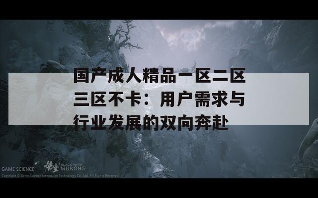 国产成人精品一区二区三区不卡：用户需求与行业发展的双向奔赴