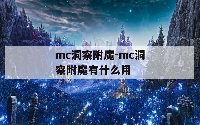mc洞察附魔-mc洞察附魔有什么用