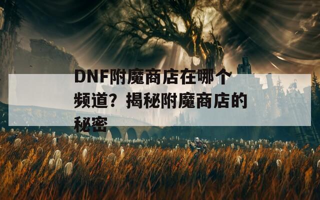 DNF附魔商店在哪个频道？揭秘附魔商店的秘密