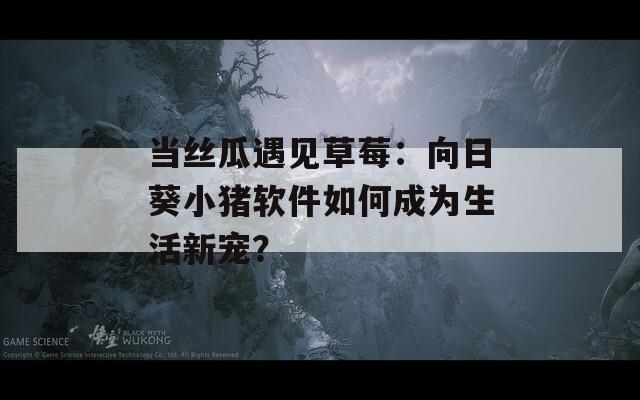 当丝瓜遇见草莓：向日葵小猪软件如何成为生活新宠？