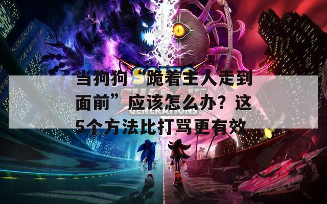 当狗狗“跪着主人走到面前”应该怎么办？这5个方法比打骂更有效